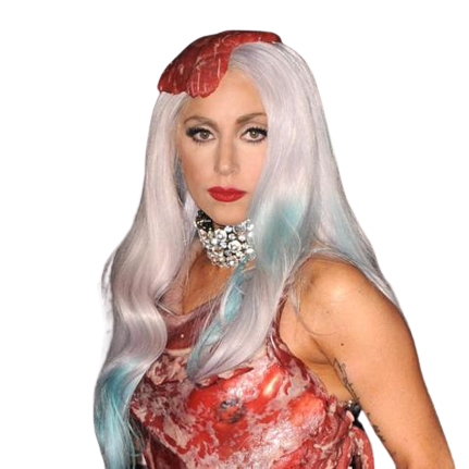 Lady gaga